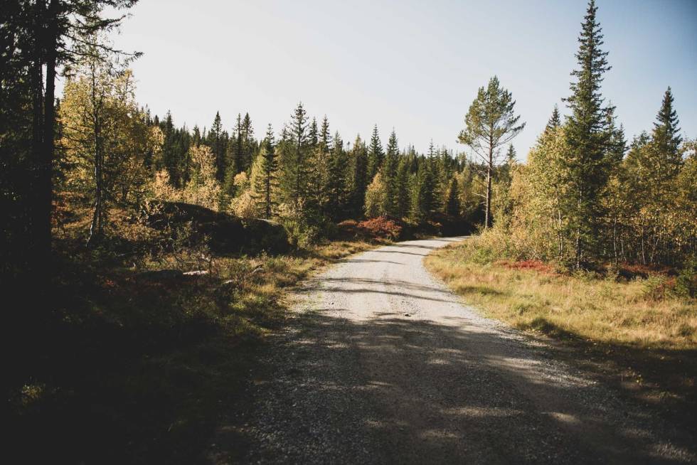 GRUS, GRUS OG GRUS: Det blir over 11 mil på grus i dag, pluss litt løping eller labbing opp til de fem toppene. Foto: Henrik Alpers. Nordmarka-sykkel-gravel-20-2