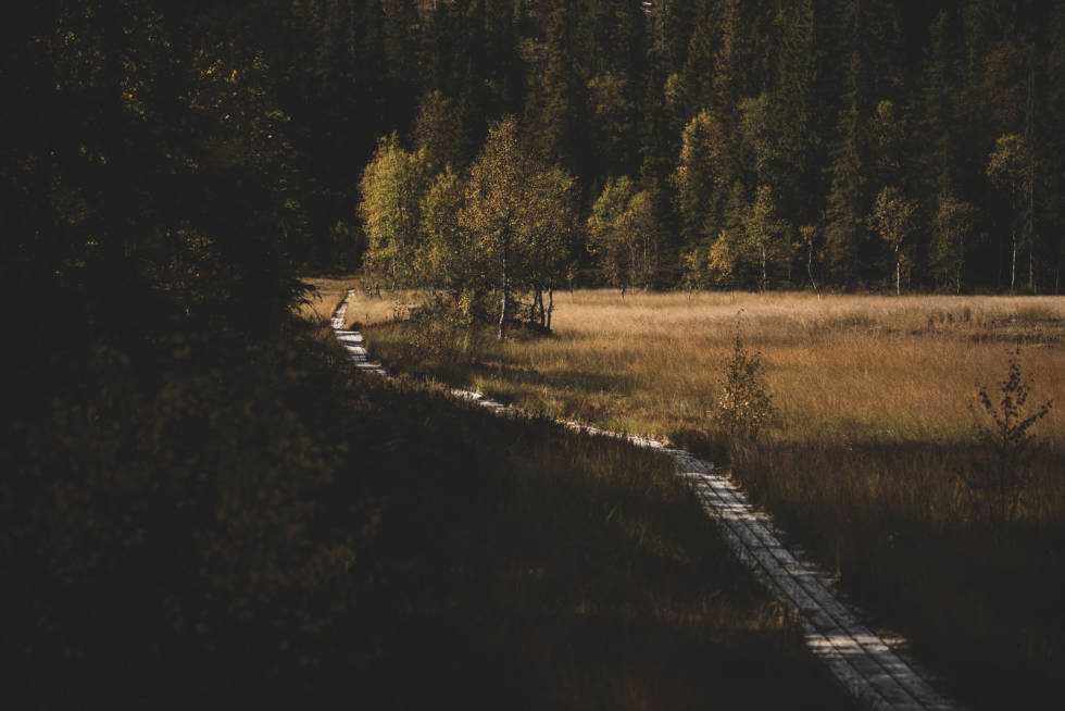 OVERFART: Kloppen mellom Øyangen og Spålsveien mener vi bestemt er Nordmarkas vakreste. Foto: Henrik Alpers. sykle gravel grus i nordmarka