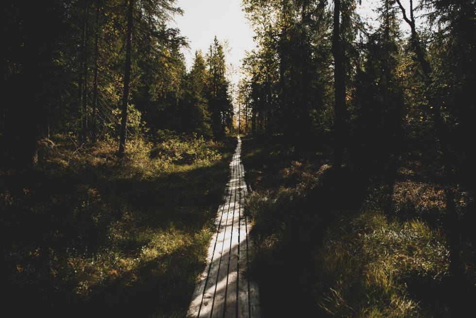 KLOPPER SOM DETTE: Det finner du ved Spålsveien, før det etterhvert går over til terreng der du er pent nødt til å sykle. Foto: Henrik Alpers. sykle gravel grus i nordmarka