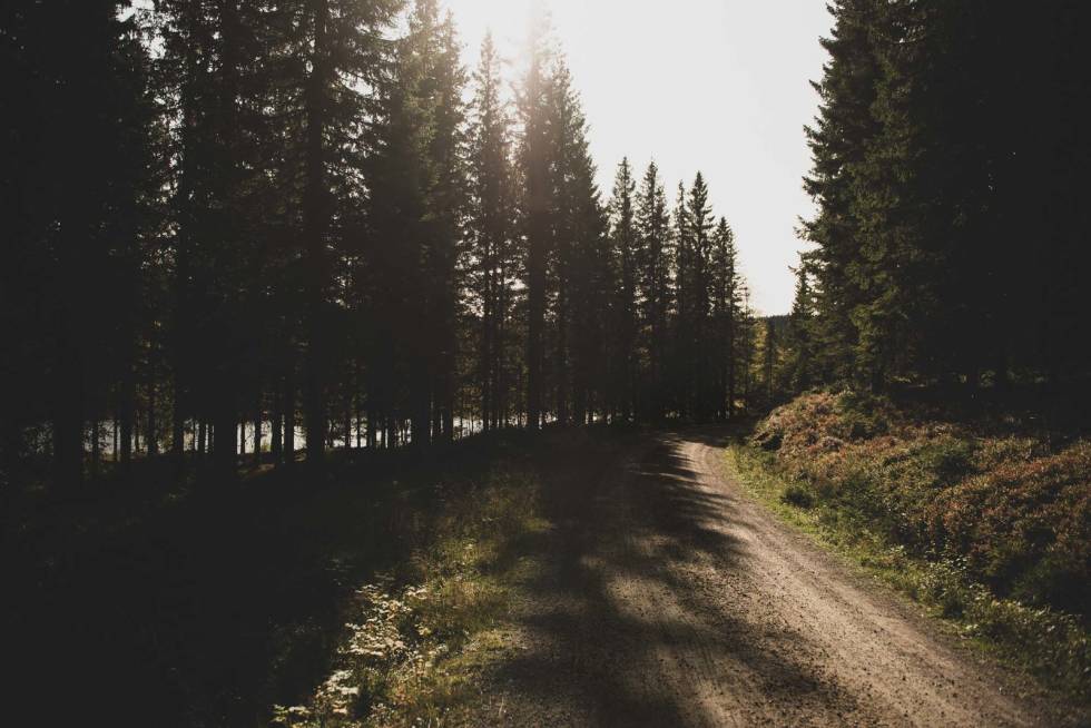 IDYLL: Veien langs Storflåtan før du begynner på klatringen opp til Høgåsen. Foto: Henrik Alpers. sykle gravel grus i nordmarka
