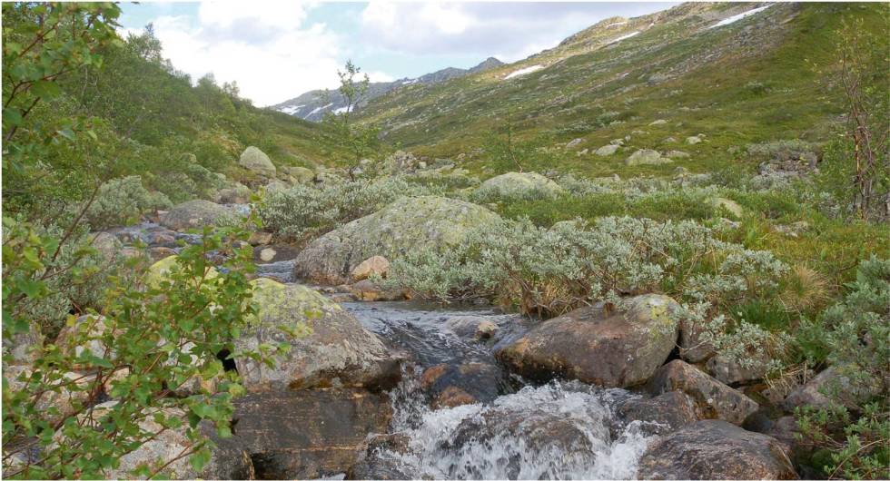 Typisk fjellbekk i dalførene innover fra Berdalsbu. Foto: Walter Pedersen/ Aust-Agder Turistforening Nordøstlige-Setesdal-Walter-Pedersen-3