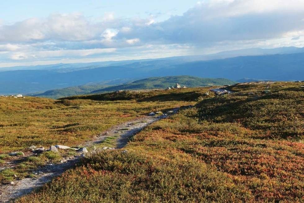 Fra skog til snaufjell og alt innimellom på Norefjell. Foto: Sandra L. Wangberg Norefjell snaufjell alpin