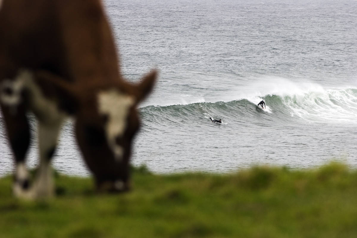 REVE HAVN: På landet ved havet. reve Havn er manges første møte med et pointbreak. Bilde: Christian nerdrum På landet ved havet. reve Havn er manges første møte med et pointbreak. Bilde: Christian nerdrum