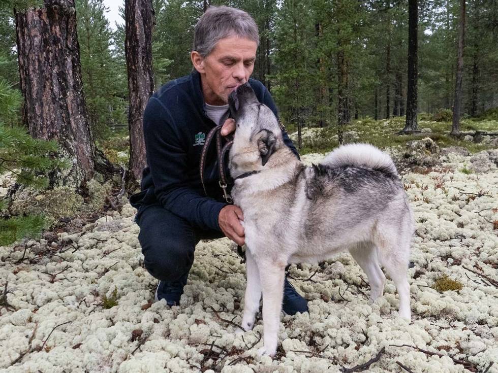 Seierskyss: Kjell Inge Løvlund og Bergulvsetras Luna er norgesmestre i bandhund. bandhund, elgjakt, elghund grå