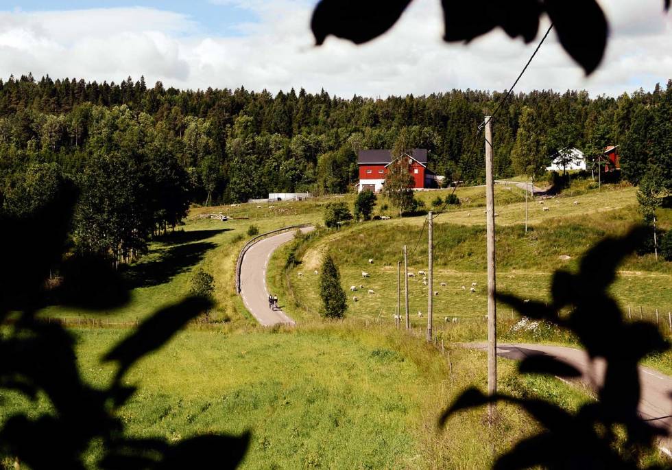 SAUEVENNLIG: Ved Gregershølet er det ingen ulver, og sauene gresser trygt på de store landområdene. Martin, Joar og Alexandre holder seg sammen i det kuperte og krevende landskapet. Ødemarksrunden-Norges-flotteste-2