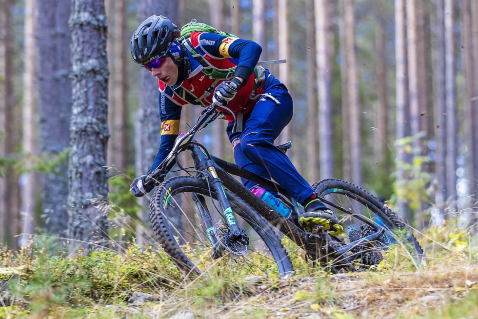 Lynraskt gjennom skogen. Foto: Pål Westgaard
