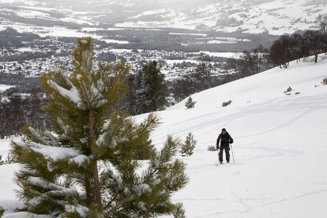 OPPTUR: Ole-Jørgen på vei opp. Forslag til Oppdal skisenter: Åpne for gratis henting av juletre i Storstugguløypa. Da blir skikjøringa bedre og folk glade. Foto: Tore Meirik oppdal topptur korona ski