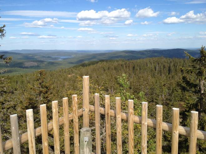 Oslomarkas lengste siktlinje er Oppkuven, 704 moh. Du ser nær sagt alt, skriver Anders Skaiå oppkuven oslo