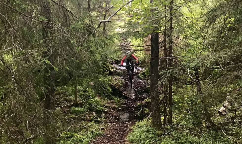 KNOTETE: Lillomarka kan by på kupert landskap med bratte tekniske partier. Foto: Ola Paaske Gulbrandsen stisykling vettakollen