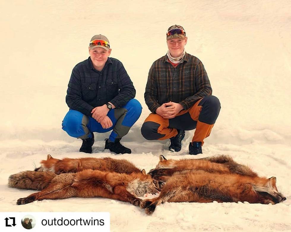 @outdoortwins: Fornøyd med avslutningen på revejakta. Har fått skutt 4 rever til sammen nå etter påske. Så sesongen endte med 14 felte rev, og det sier vi oss godt fornøyde med. #fox outdoortwins