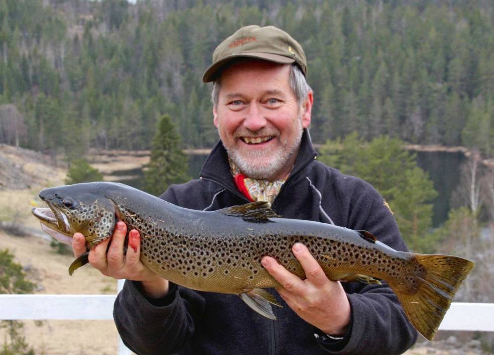 Vegårauren er kjent som storaure, her er et flott eksemplar av arten. Foto: Olav Aas Padletur-på-Vegår-Olav-Aas-4