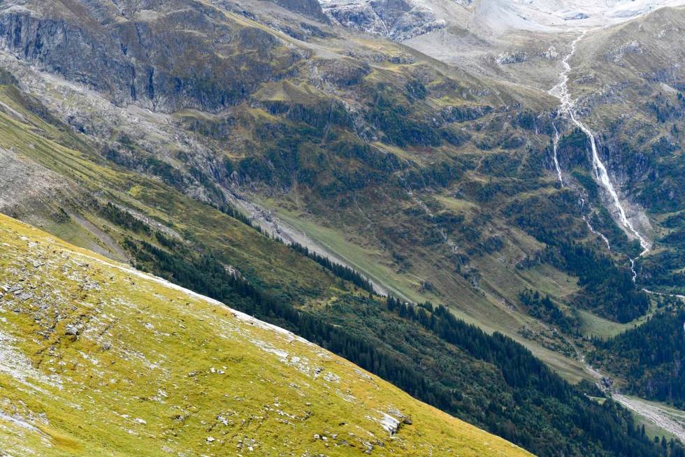 Likt reinsjakt: På de bratte slettene høyt over dalsidene, beiter gemseflokken. Men her er det lite skjul å bruke til å smyge innpå. Paraglider-jakt-Alpejakt-6