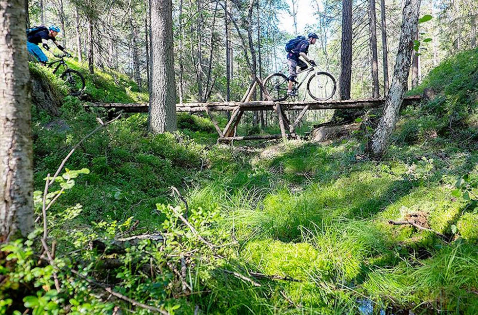 NOTS vil være med på dialogen om nasjonalpark i Østmarka. Foto: NOTS Oslo Østmarka vurderes som nasjonalpark