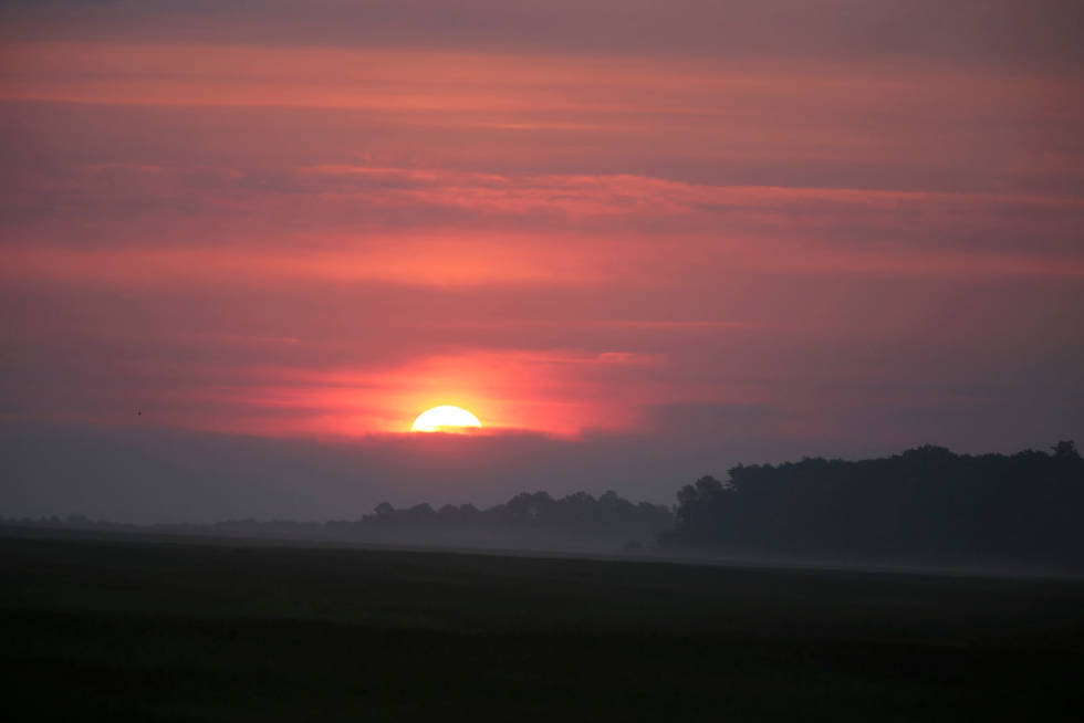 Glemt neste morgen: Soloppgangen over grøde- og rådyrrike åkre gjorde at nattens regn for ble glemt. Råbukkjakt-Romania-9