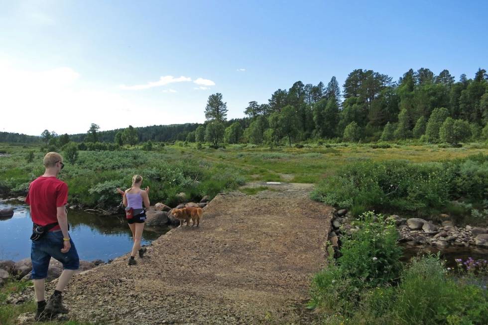 En stor del av turen følger denne elva, hvor du kan se bever dersom du er heldig. (Foto: Erlend Larsen) Raulandsfjell Bro bever telemark