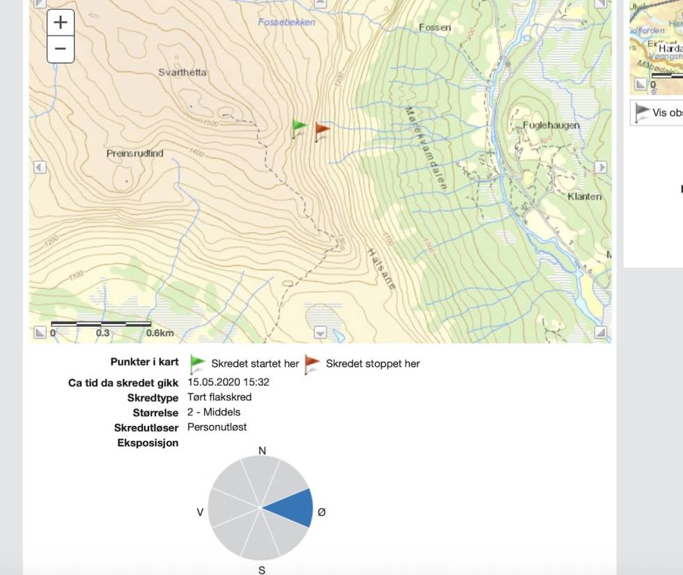 FAKTA: Slik vises deler av rapporten på Regobs. regobs rapport skred hemsedal