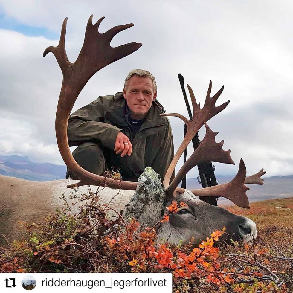 @ridderhaugen_jegerforlivet: Kun få dager igjen til reinsjakta starter. Det gledes! Her et bilde fra ei flott storbukkjakt fra Skjåks sørøst-område ridderhaugen-jegerforlivet
