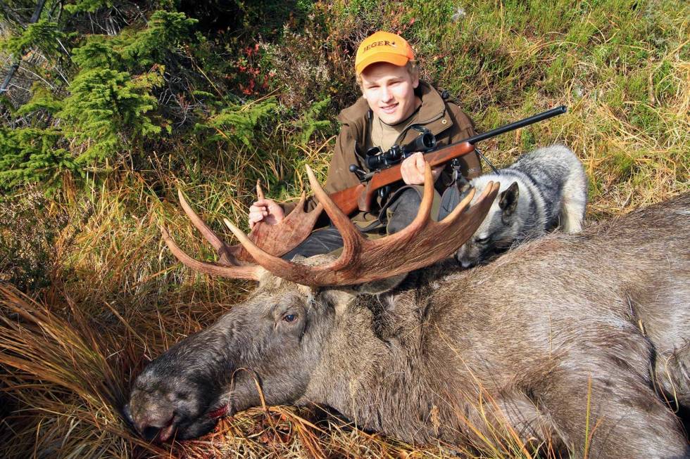 Den store elgkula: Storoksen måtte gi tapt for 180 Oryx i 308 Win. Det er det flere elger som har gjort. Rifleammunisjon-Norma-2