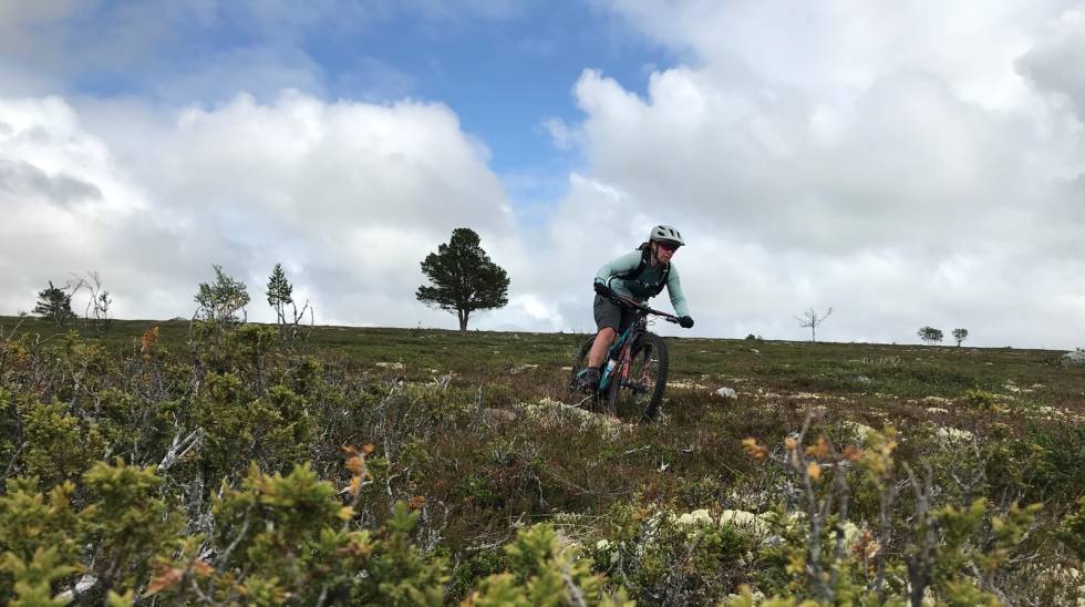STISYKLING I RØROS: Forvent superfin høyfjellsflyt og raskere, mer teknisk sykling i skogen. Foto: Ola Paaske Gulbrandsen stisykling i røros
