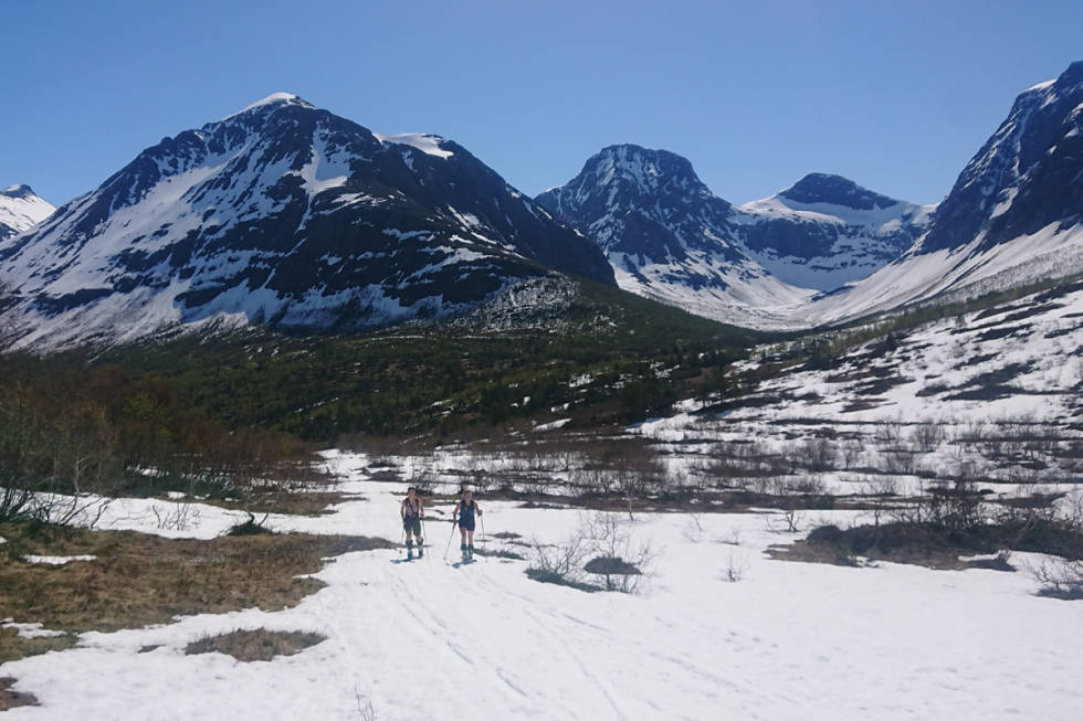 Turen starter på ca. 550 m.o.h. blant susende humler og fuglekvitter. Foto: Adam Tumidajewicz Romsdalen sommer ski topptur randonee fri flyt utemagasinet