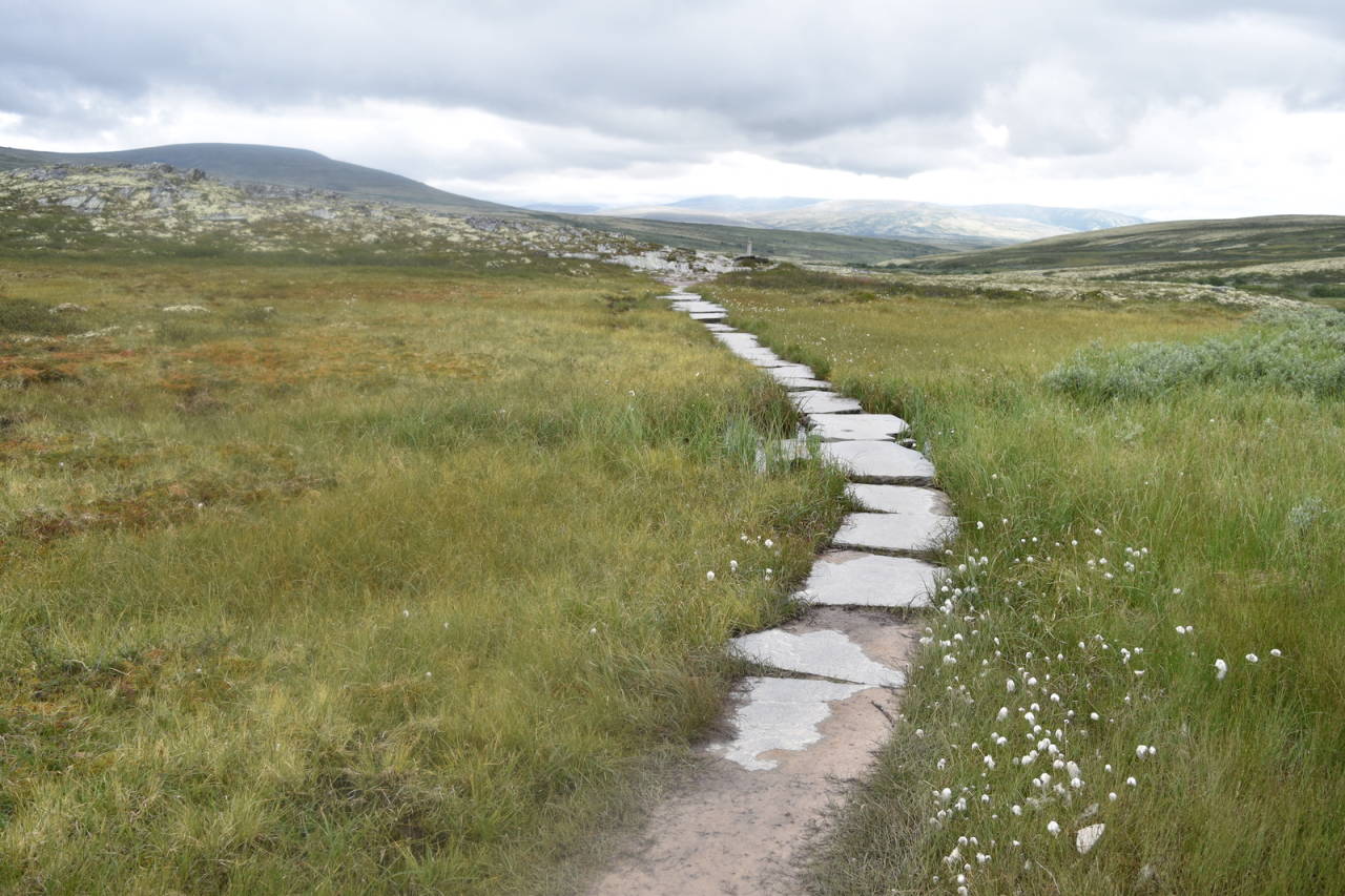 RONDANE MED TILTAK: Etter at området ble restaurert. Foto: NINA rondane naturrestaurering