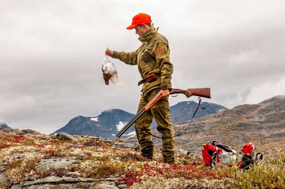 Eriks fjelland: Kårvatn byr på fint fjellrypeterreng – og i år er det mer fugl enn det har vært på mange år. Da er det lov til å høste. Rypejakt-Kårvatn-Trollheimen-7