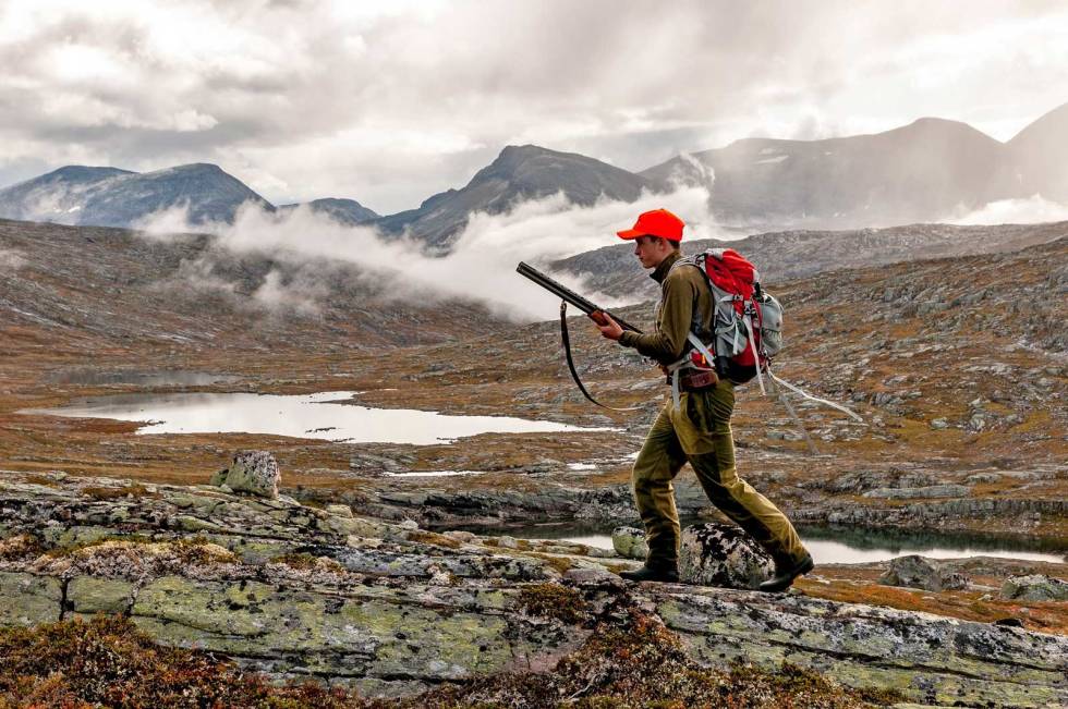 Villmark: Området rundt Kårvatn og resten av Trollheimen byr på mye urørt villmark, innbydende fjellvann og ypperlig terreng for fjellfuglen. Rypejakt-Kårvatn-Trollheimen-9