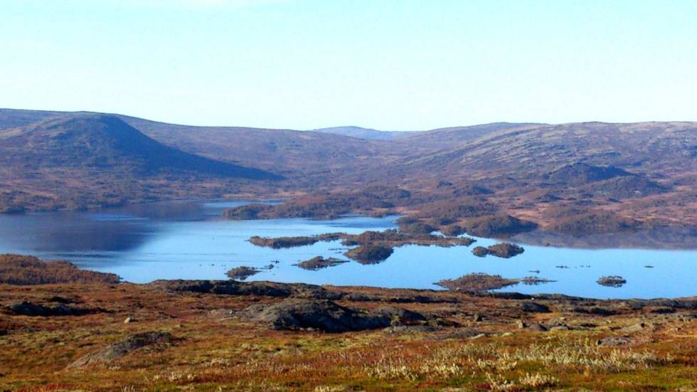 Kveldssol: Øyongen bader i kveldssola med lokkende vannspeil. (Foto: Kjetil Folde) Rypejakt-Støkkjakt-5