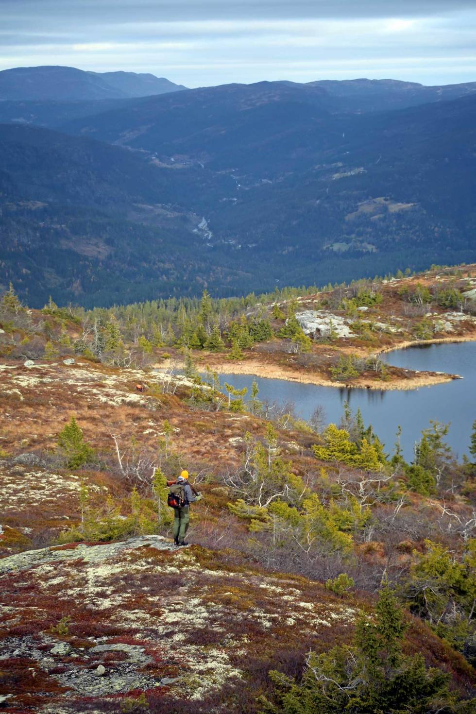 Soria Moria: Langt, langt borte saa han noget lyse og glitre. Rypejakta kan saktens være et eventyr. Rypejakt-Trillemarka-1