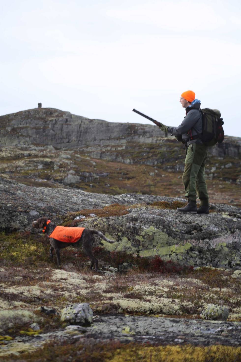 Heit i hodet: Vinja står som en spent fjær i stand og venter på de forløsende ord. Rypejakt-Trillemarka-3