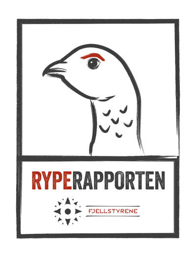 Den første rapporten før rypejakta 2021 er klar. Ryperapporten rype rapporten rypejakt 2021