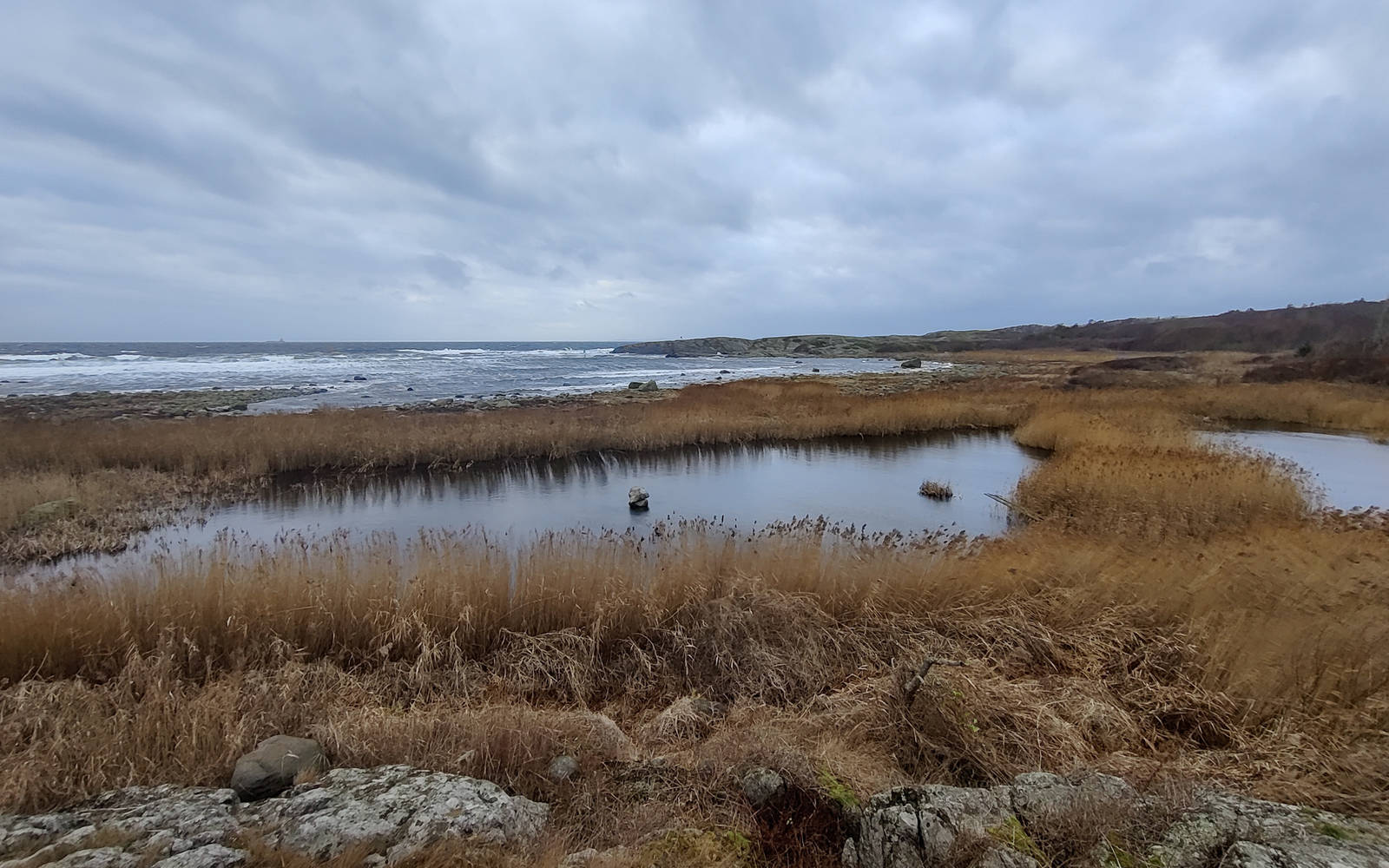 MER FUGLEVENNLIG: Plutselig en dag sto det en stor anleggsmaskin på Saltstein, som grave et vannspeil for å gjøre området mer attraktivt for fugl. Bilde: Christian Nerdrum Vannspeilet på saltstein