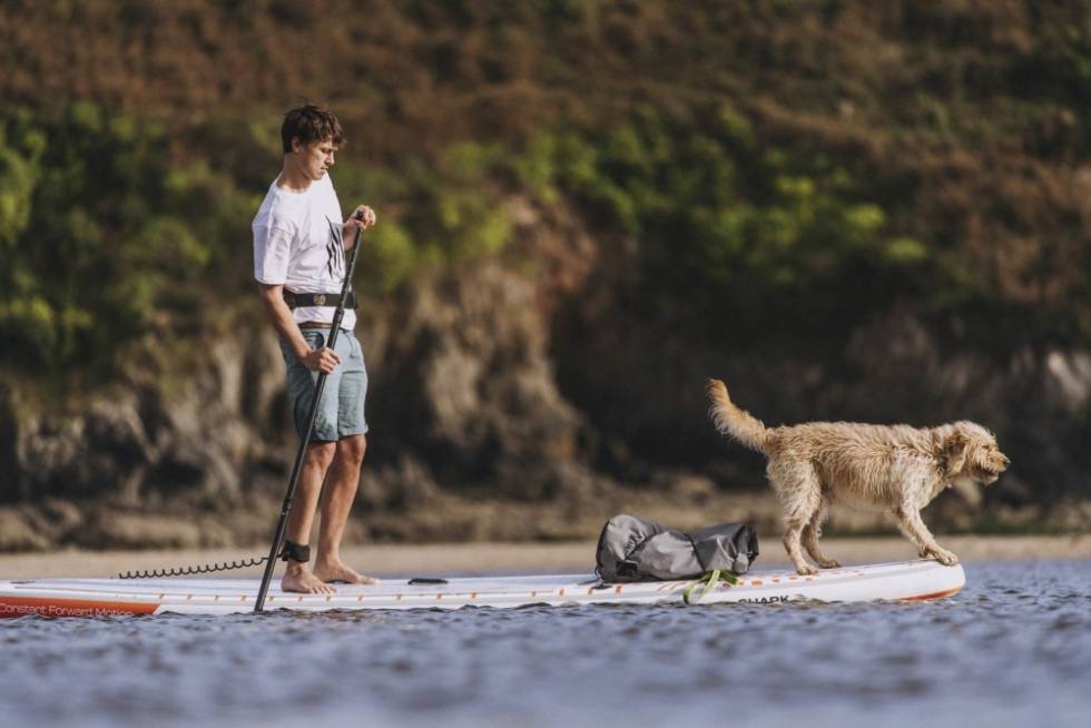 PLASS TIL FLERE: På et stort touringbrett er det god plass til bagasje og kjæledyr. Her et oppblåsbart brett fra Shark. SHARK SUP med hund