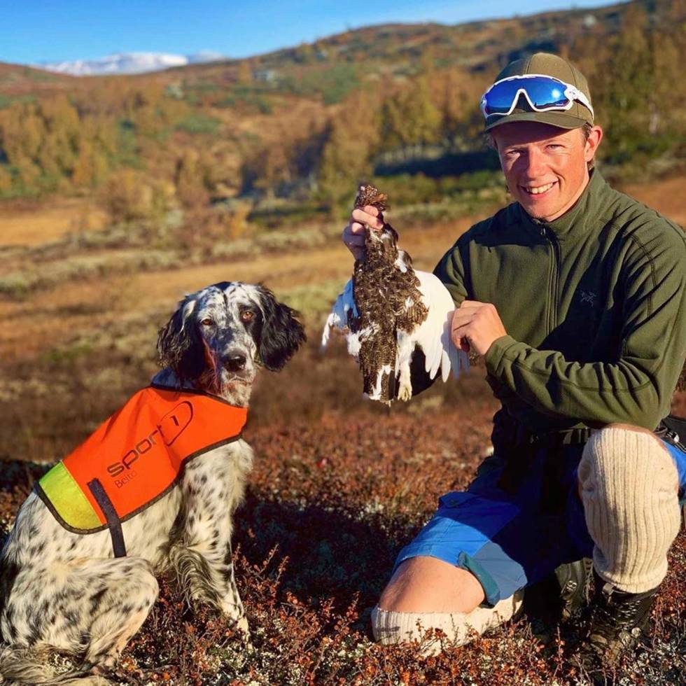 @simondownham: Fra dunjakke og hansker til shorts og tskjorte! Septemberværet varierer og leverer! #englishsetter #engelsksetter #minfuglehund #birddog #gundog #hundetrening #pointingdogs #fuglehund #nesksetter #hundehelse #jakthund #valdrestur #beitostølen #grouse #huntgarmin #rype #mittjegerliv #norronahunting SimonDownham