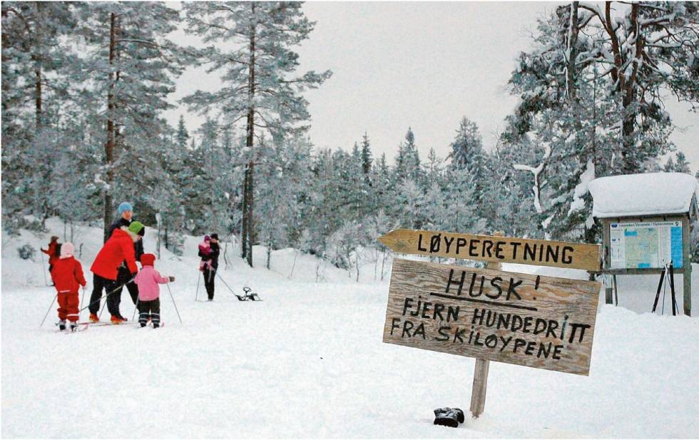 Folkeskikkregler gjelder på Øynaheia så vel som i andre skiløyper. Hundeeiere bør ta med seg avfall, og skigåere bør følge løyperetningen. Foto: Torolf Kroglund Ski-på-Toplandsheia-og-Øynaheia-Torolf-Kroglund-2
