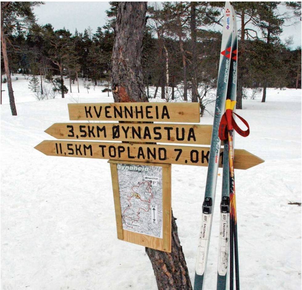 De flotte rundløypene rundt Øynaheia og Toplandsheia er godt skiltet og merket. Foto: Torolf Kroglund Ski-på-Toplandsheia-og-Øynaheia-Torolf-Kroglund-4