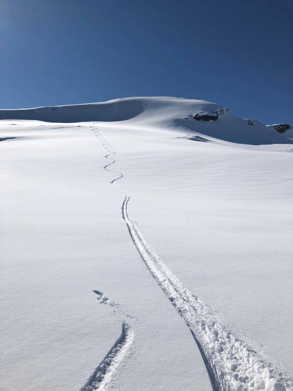 Øverste delen mot Skittendalstindens østside gir deg flott kjøring på dager med stabil og fin snø. Skittendalstinden-Evenes-Skånland-2
