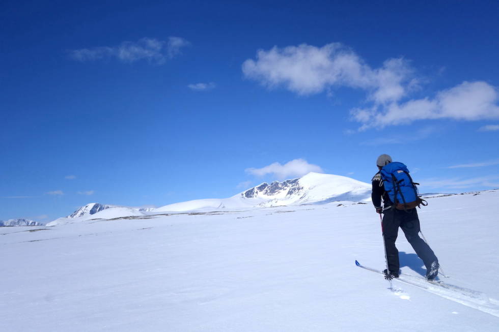 Innmarsj fra Grønbakken mot Snøhetta (til høyre) og Storstygge Svånåtinden (til venstre). Foto: Erlend Sande skitur Snøhetta Dovrefjell storstygge svånåtinden