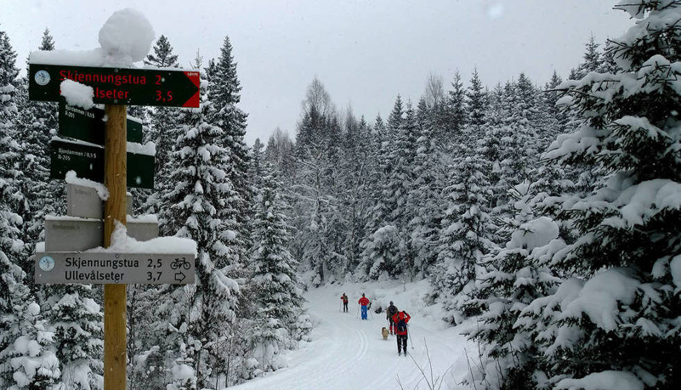 2 km, ja - men det er i opptråkka oppoverbakke, og skia dine er dårlig smurt. Da er det godt å vite at bollene er skikkelig, skikkelig bra. skjennungstua marka ski oslo