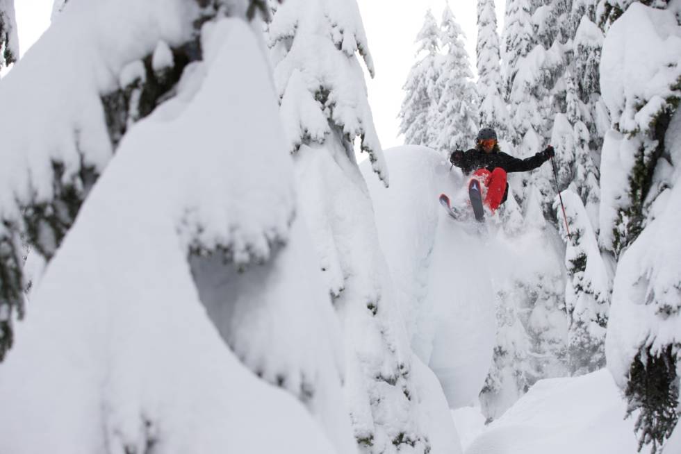 PUTER: Typisk Canada; masse snø, pillows og en langhåra skiproff som herjer oppe i et tre. Bilde: Bryan Ralph Canada