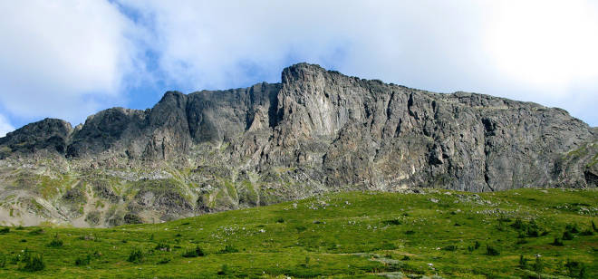 KLASSIKER: Skogshorn i all sin prakt. Foto: Jørgen Aamot Hemsedal klatring