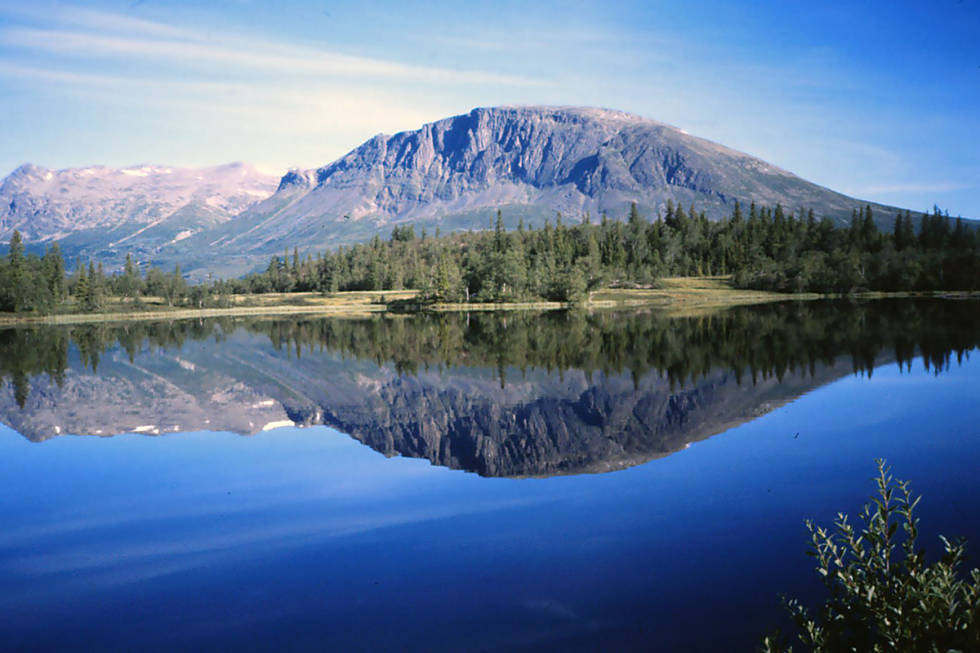 Skogshorn ruver over østre del av Hemsedal og gir utsikt til Jotunheimen på klare dagen. Foto: Wikimedia commons Skogshorn utemagasinet fjellturer sommer hemsedal