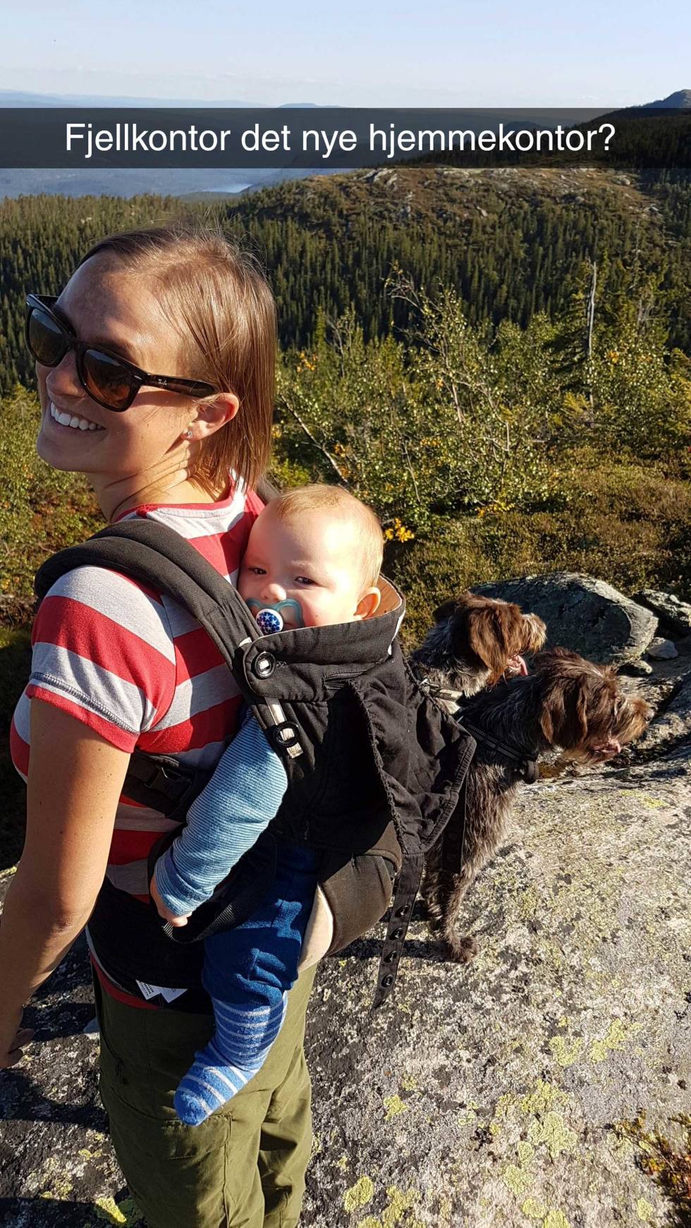Funker fint: Jakt med stående fuglehund fungerer fint med barn i bæremeis. Slik-tar-du-med-barn-på-jakt-5