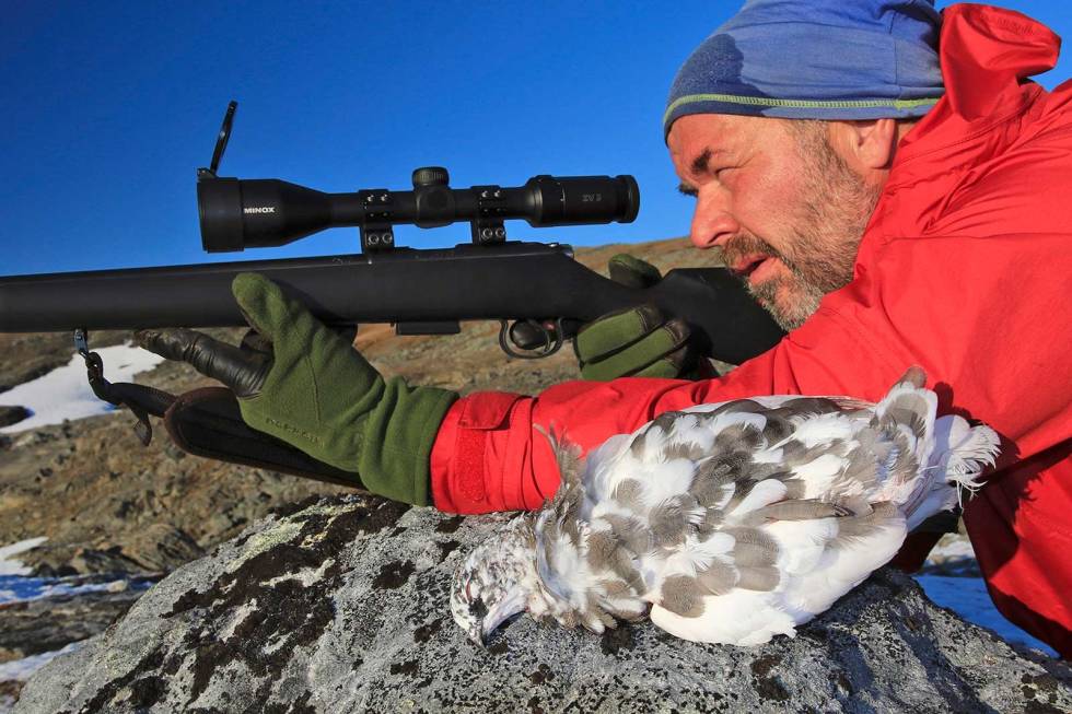 RYPE I SIKTE: Å granske seg fram til fuglen er halve jobben, resten består i å snike seg på hold. Småviltjakt-med-rifle-rype-6