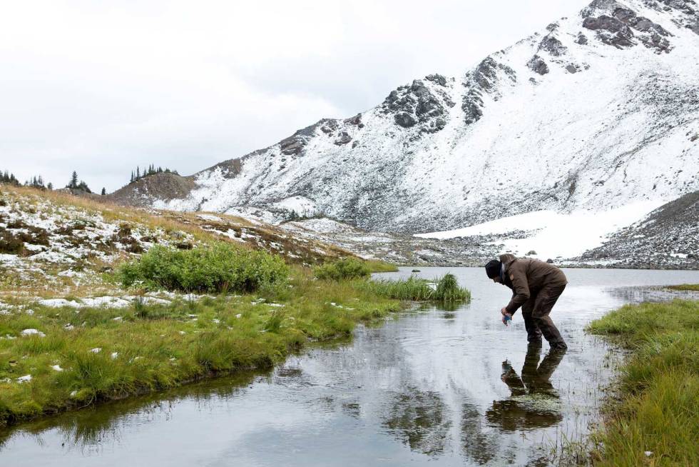 Tørt på toppene: Poul slukker tørsten etter en strabasiøs tur på de høyeste toppene, der vannet enten ikke finnes eller er frosset. Snøgeit-jakt-i-Canada-7