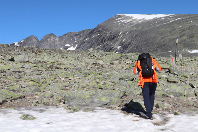 MOT TOPPEN: 800 høydemeter i steinur må til hvis du skal bestige Snøhetta – men det er overkommelig for mange. Foto: Siv-Elin Skogen Snøhetta