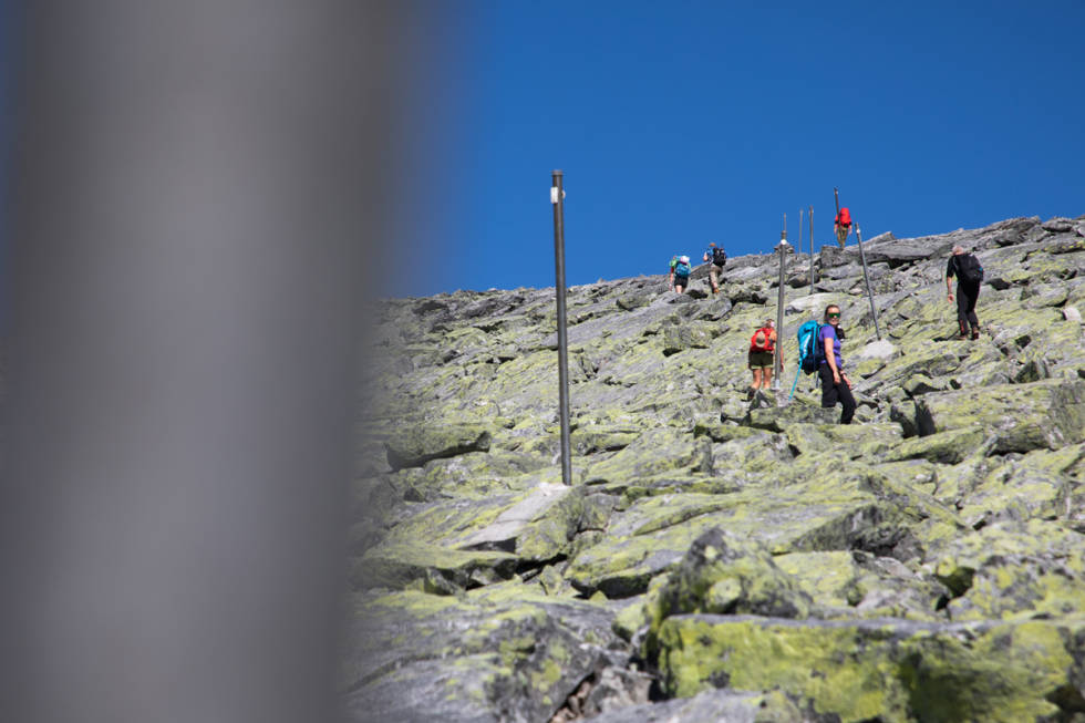 SKJEMMENDE: Lange metallstolper hele veien langs den populære stien opp på Snøhetta. Foto: Tore Meirik Snøhetta snøhettatraversen