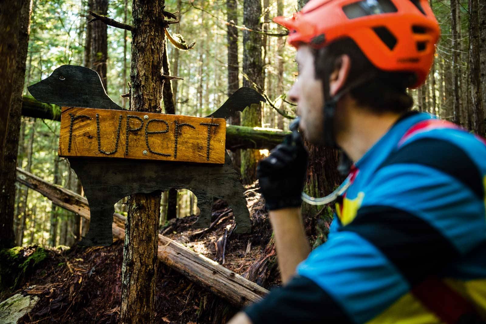 TRAIL DOG: Rupert er en av Squamish´ mest populære stier og et mesterverk signert stibyggeren Gary McFarlane, som navnga tien etter hunden sin Rupert, som nylig hadde gått bort da Gary bygde stien. Squamish-Canada-Sti-8