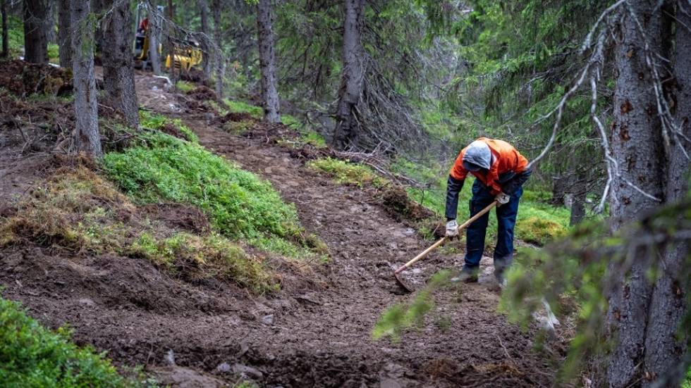 FERDIG I AUGUST: Arbeidet med den nye blågraderte stien i Ål skal etter planen starte i juni, og stien forventes å bli ferdig i august. Foto: Brynjar Tvedt Bygger 1.5 km blågradert sykkelsti i Ål