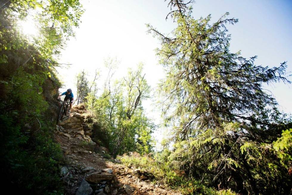 GRÅKALLEN: Stien ned fra toppen med den rare radaren har temmelig tøff sykling. Foto: Kristoffer Kippernes trondheim stisykling